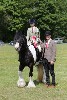 thornton-le-dale-gala showclass7acharity25-5-20256